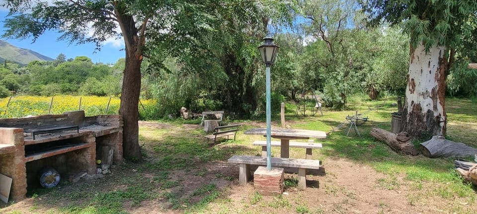 Garden, Inner courtyard view