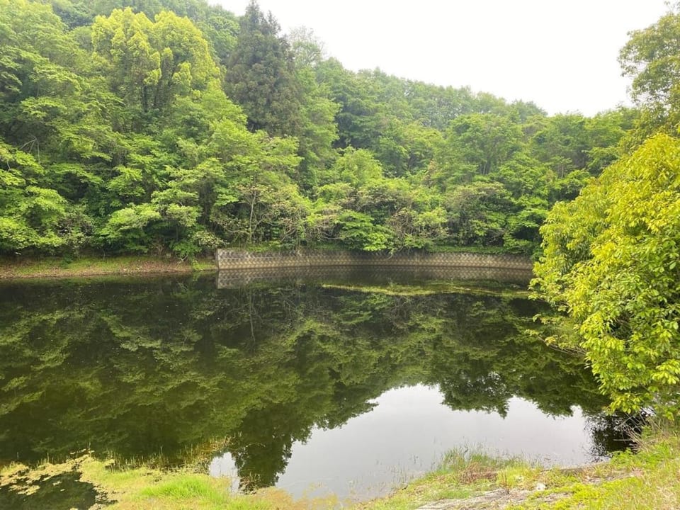 Inn Omishima Bed and Breakfast in Japan