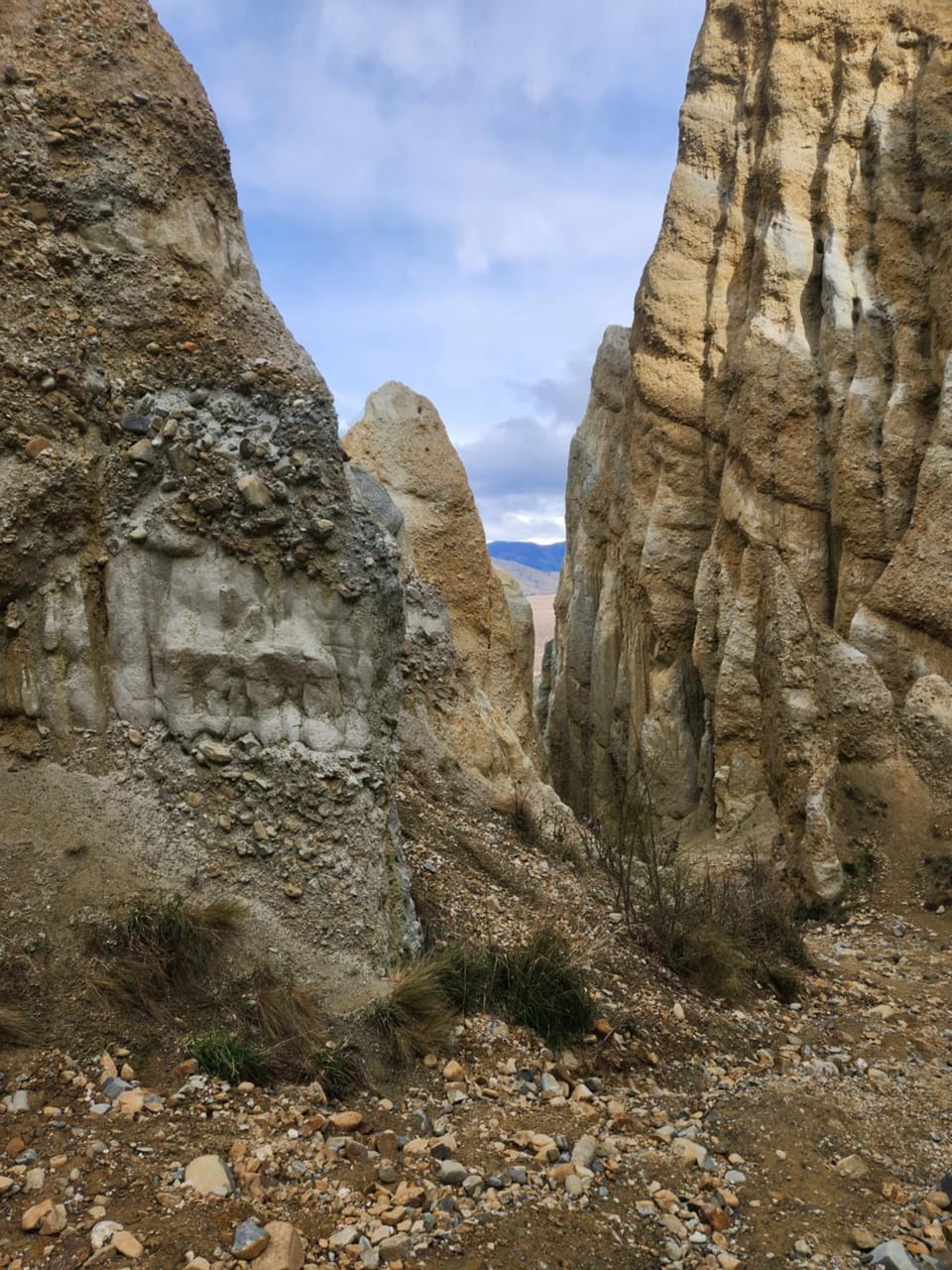 Natural landscape