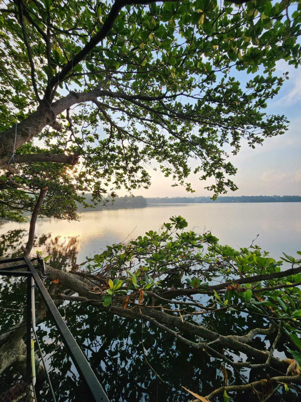 Natural landscape, Lake view, River view