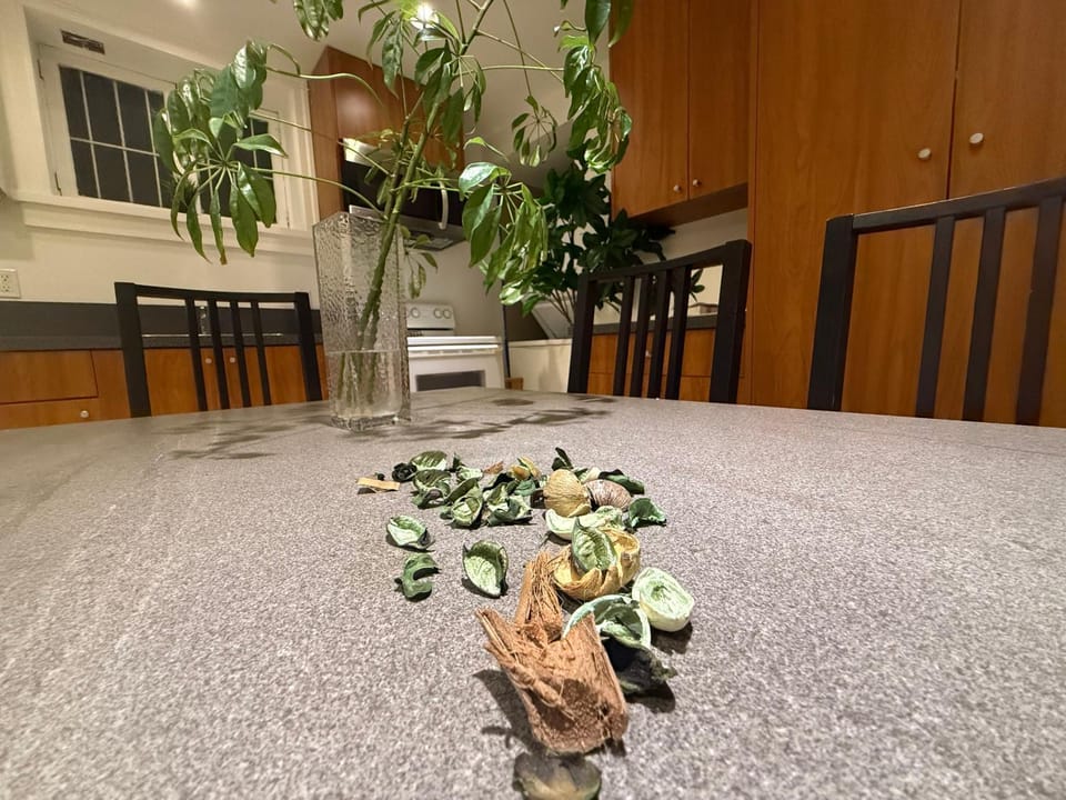 Restaurant/places to eat, Dining area, Breakfast