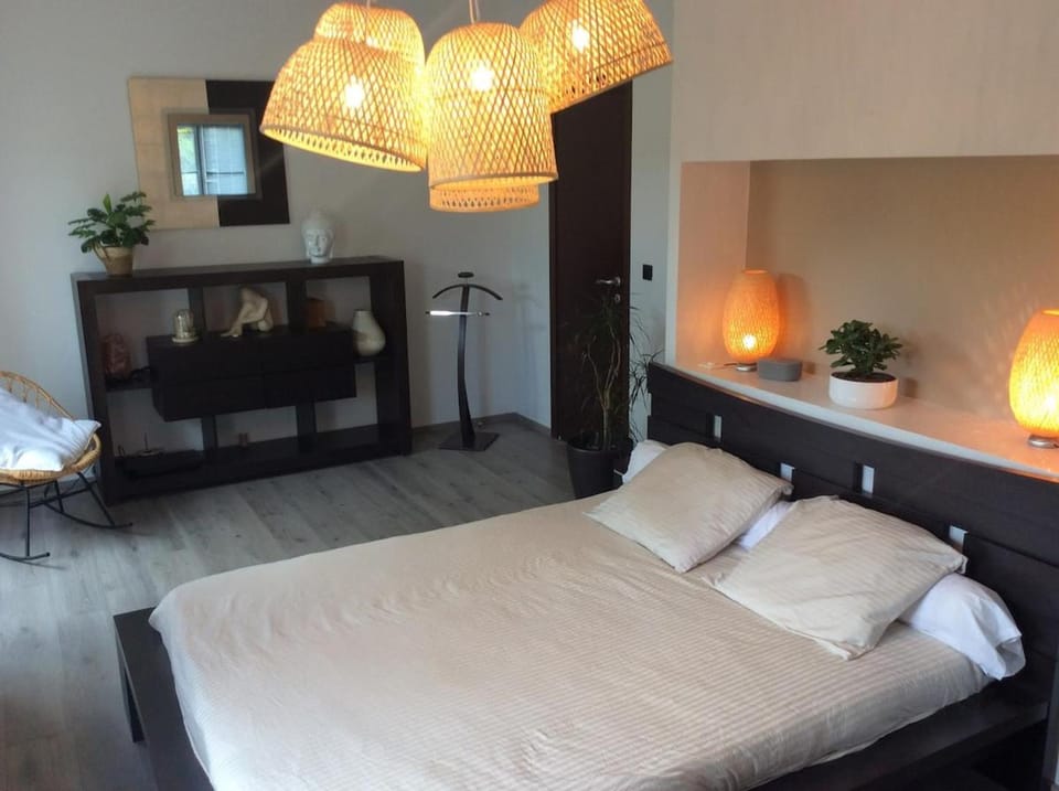 Air conditionned Villa 290 m2 , 12 minutes from Toulouse Villa in Occitanie