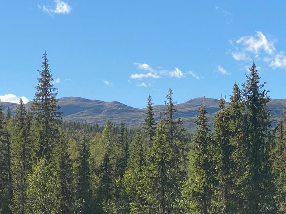 Natural landscape, Sauna, Mountain view