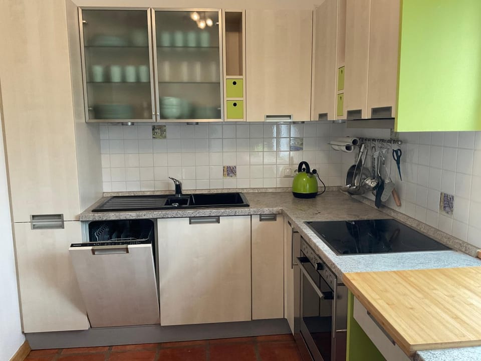 Kitchen or kitchenette, dishwasher, stove