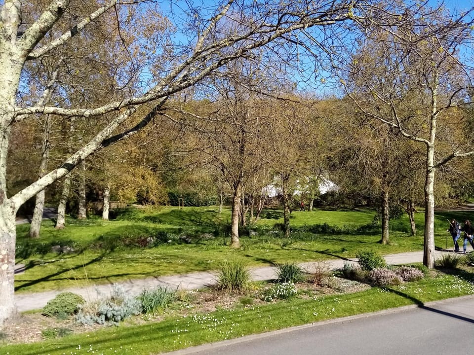 Natural landscape, Garden, Garden view
