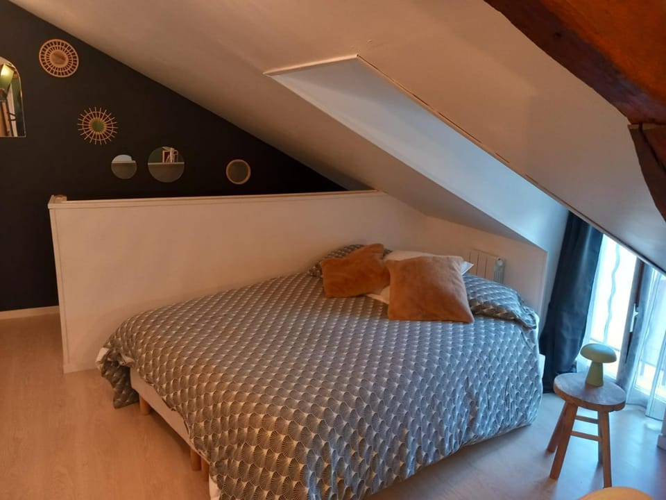 Le 6, centre-ville Apartment in Centre-Val de Loire