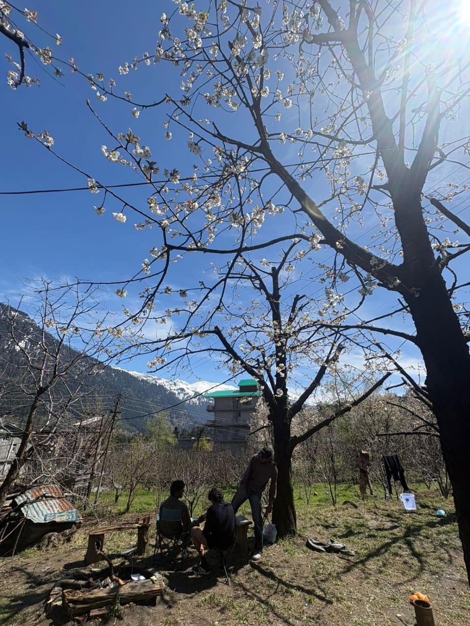 Raahi Roots Hostel in Manali