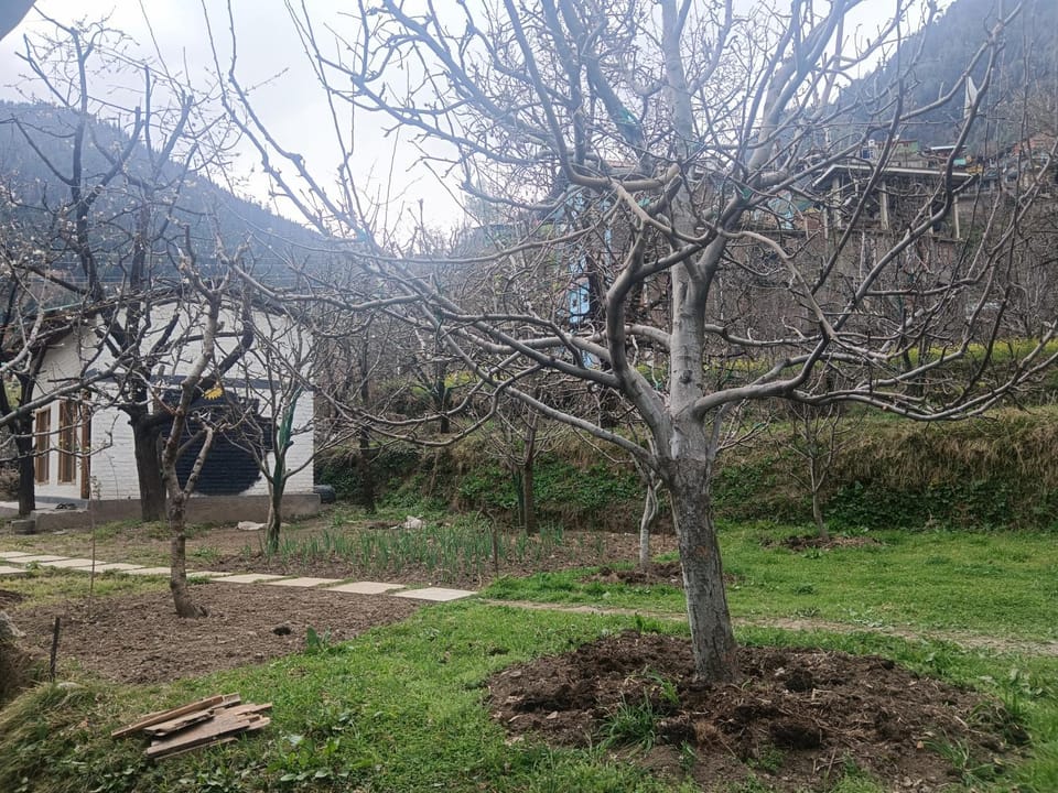 Raahi Roots Hostel in Manali