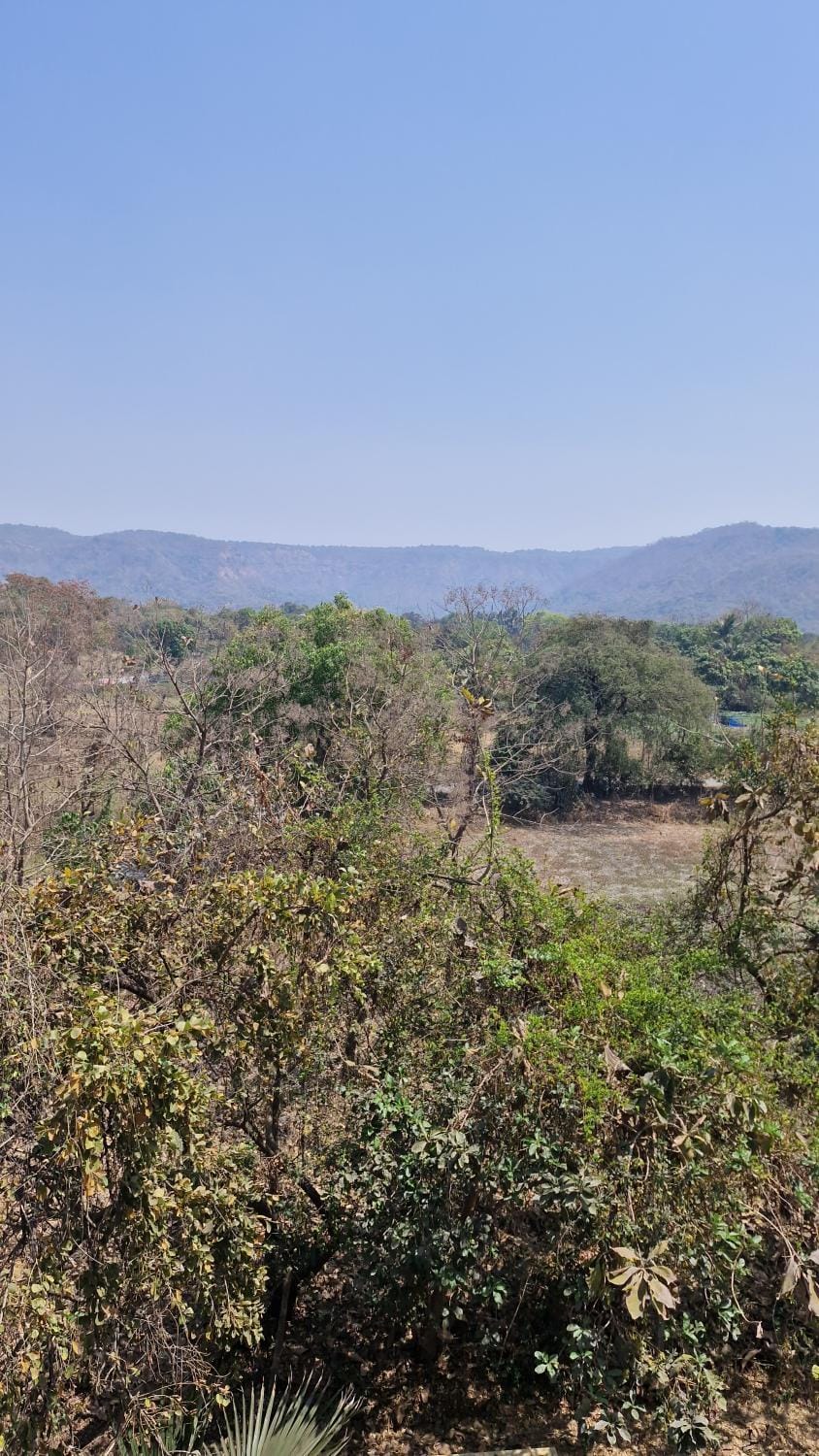 Anwesha's Home Stay Alibaug Apartment in Alibag