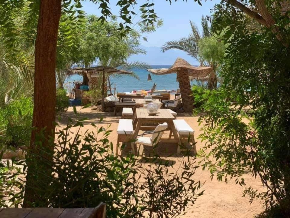 Nakhil Inn Nuweiba Inn in South Sinai Governorate