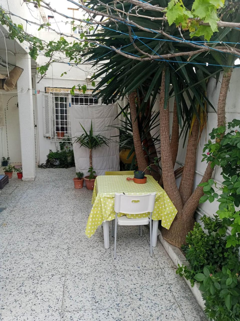 Property building, Patio, Patio, Spring, Bird's eye view, Winter, Garden, Garden, View (from property/room), Balcony/Terrace, Text overlay, Garden view, Quiet street view, Inner courtyard view, internet, locker