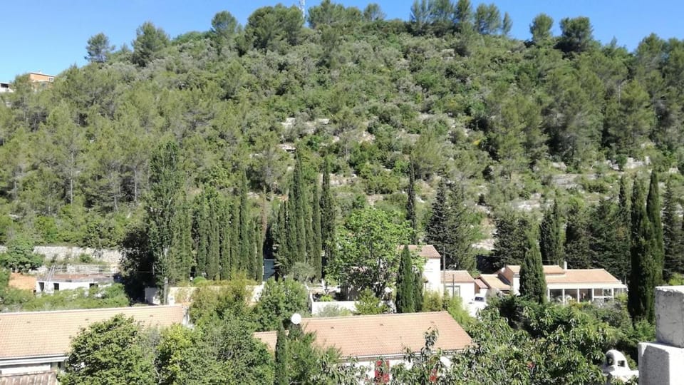 Ei Toucas Oli E Pas Apartment in Solliès-Toucas