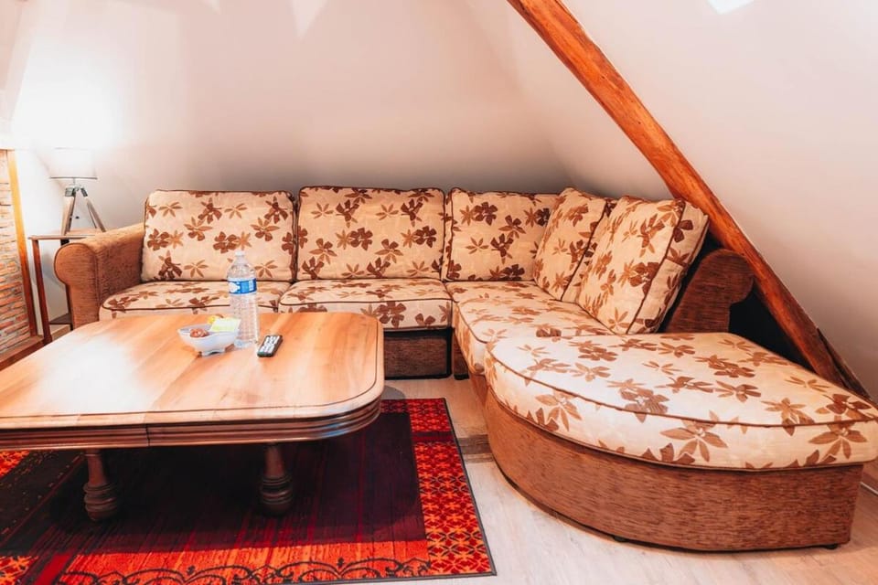Le Nid Douillet - L'esprit chalet - Climatisation Apartment in Centre-Val de Loire