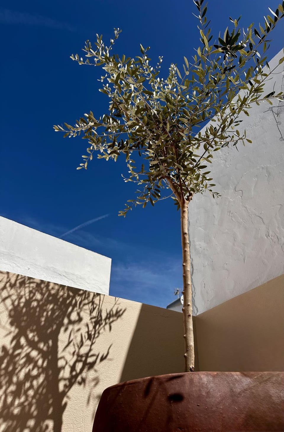 Balcony/Terrace, Decorative detail