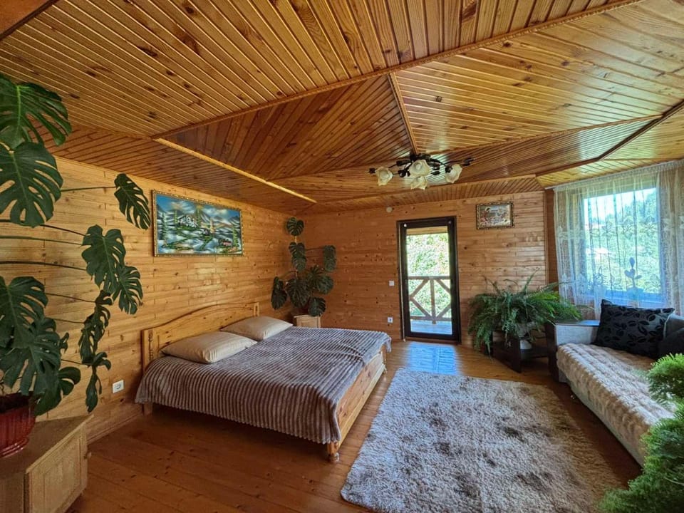 Котедж Ані і Яни Villa in Ukraine