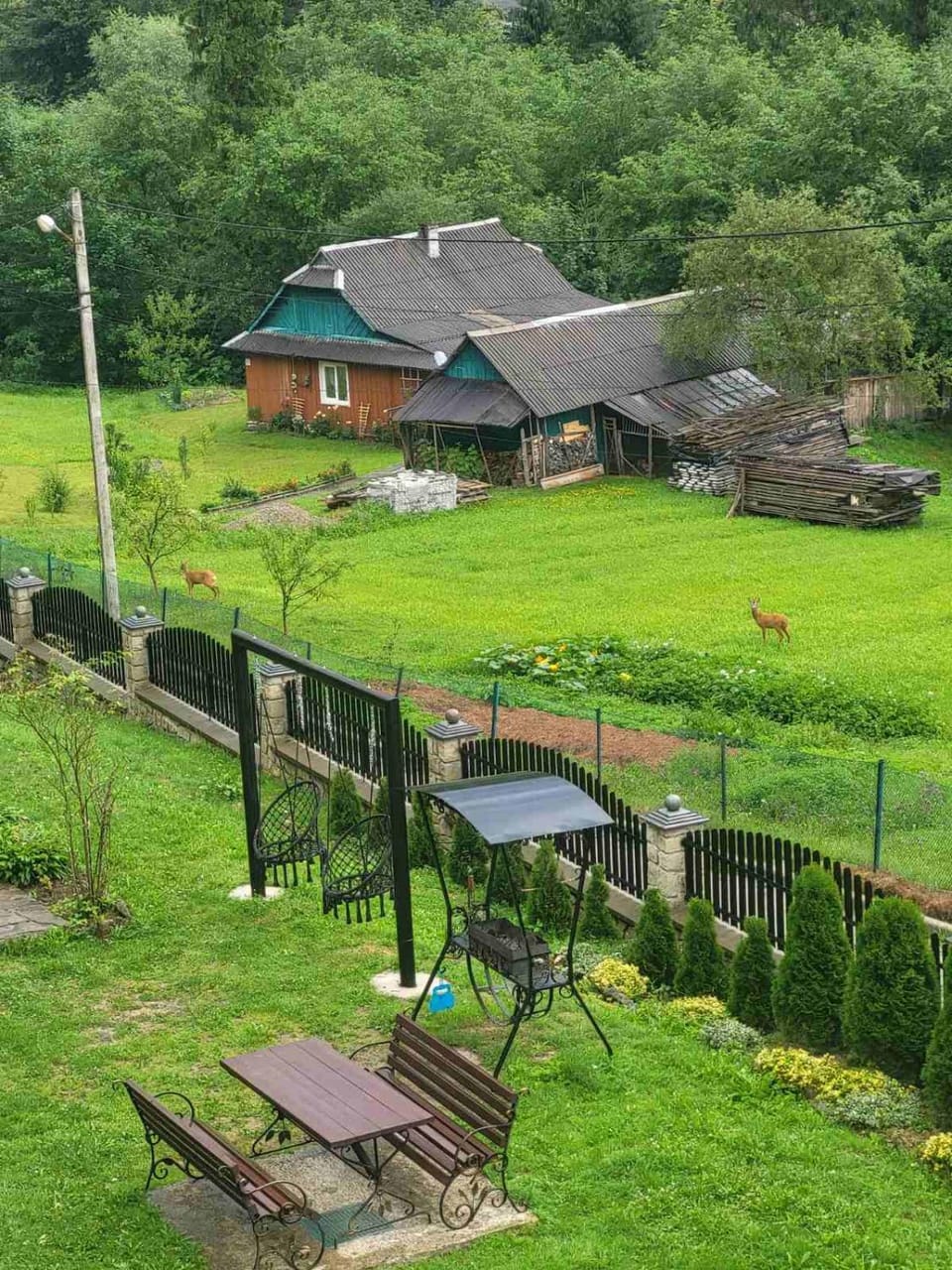 Котедж Ані і Яни Villa in Ukraine
