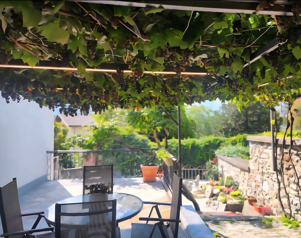 Patio, Balcony/Terrace, Balcony/Terrace