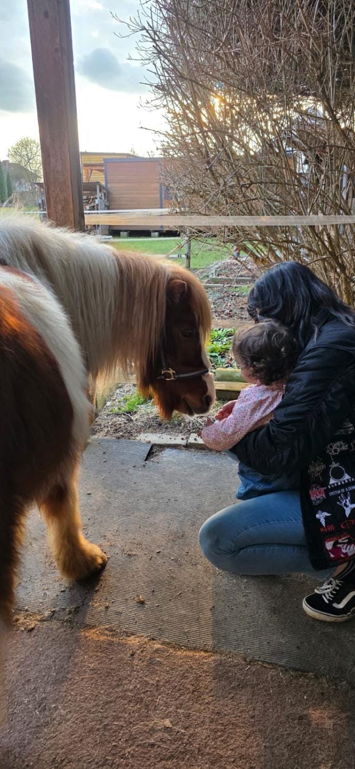 Animals