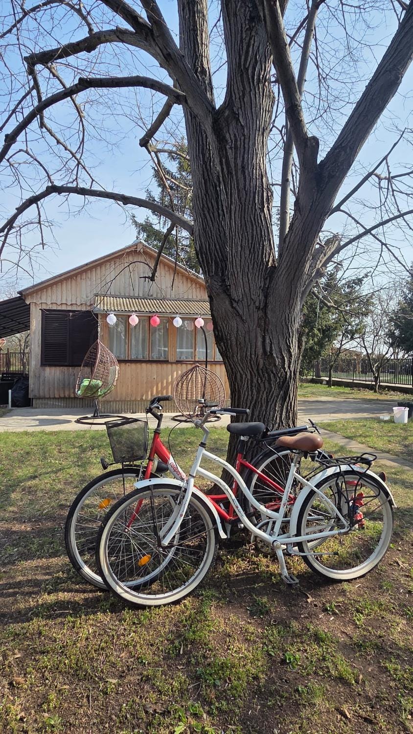 Garden, Cycling