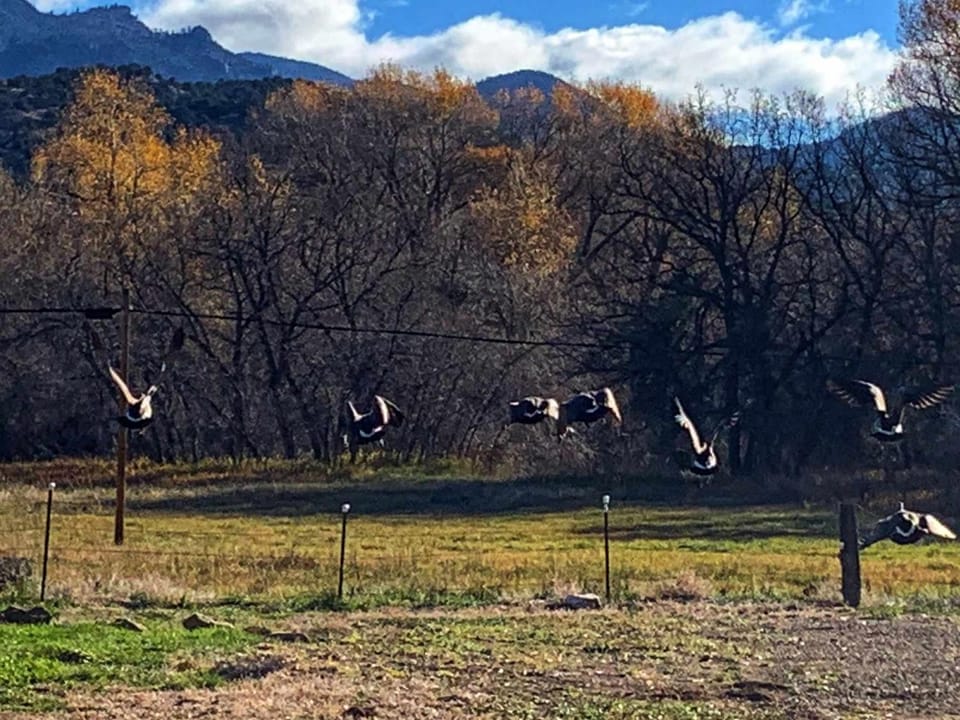 Quiet Motel Room Near Ark River #8 - 15 min to Salida House in Colorado