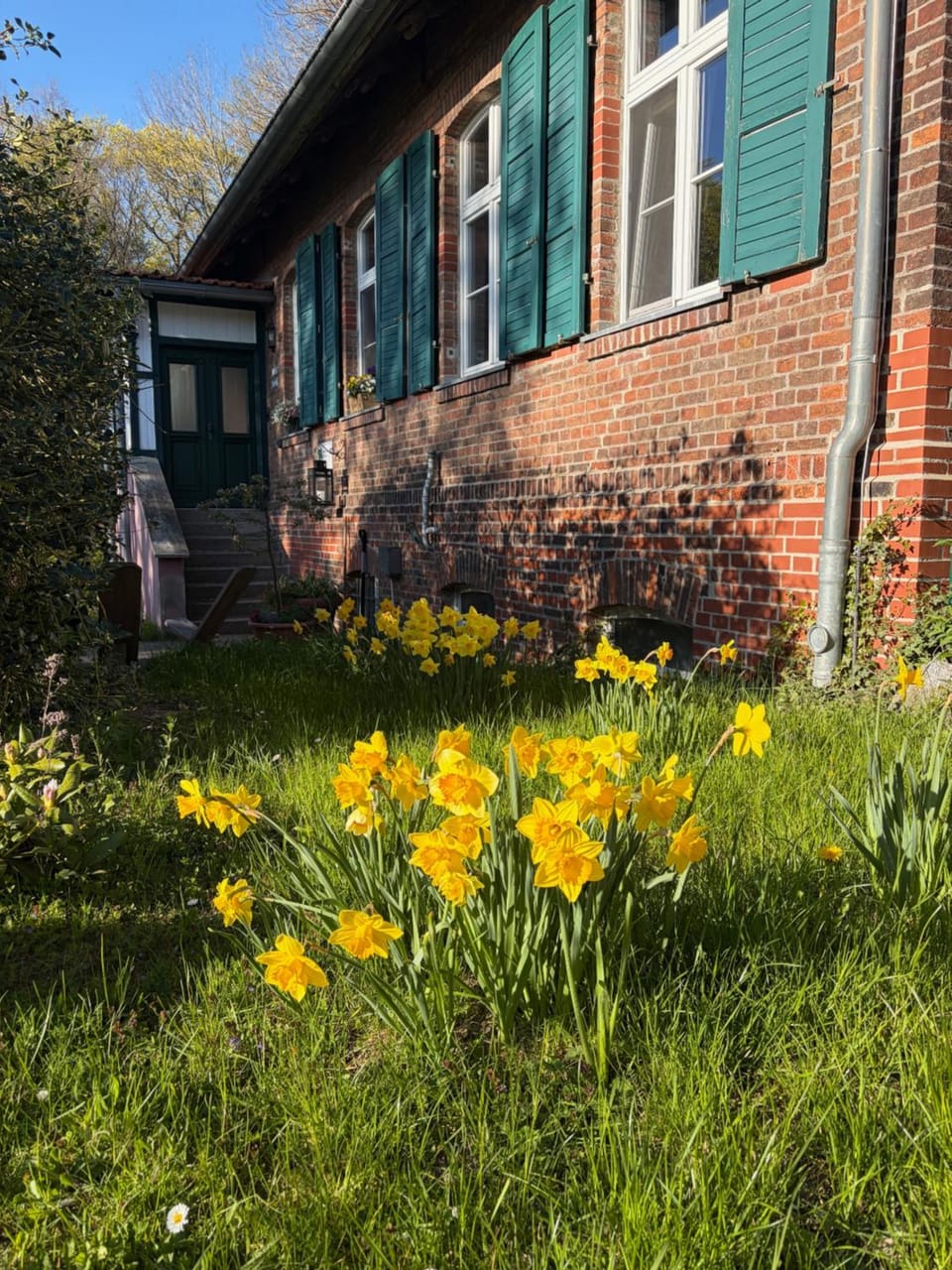 Property building, Spring