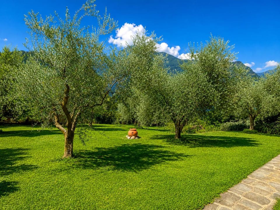 Garden, Garden view