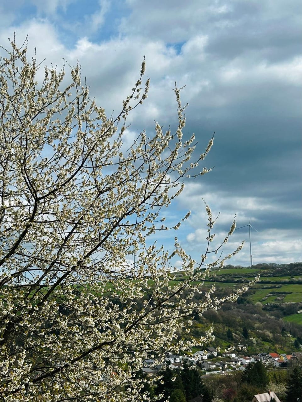 FeWo Wanderlustig Apartment in Rhineland-Palatinate