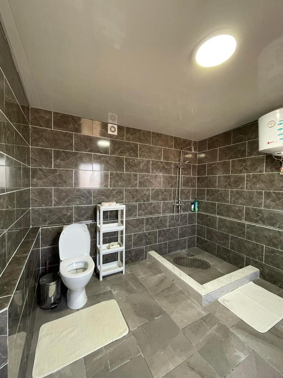 Shower, Toilet