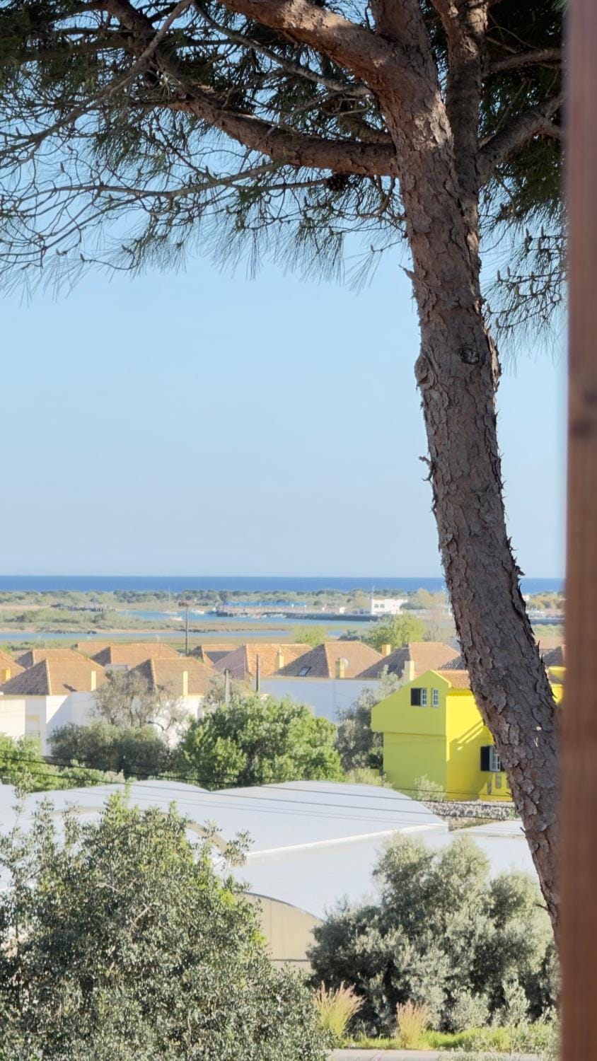 View (from property/room), Balcony/Terrace