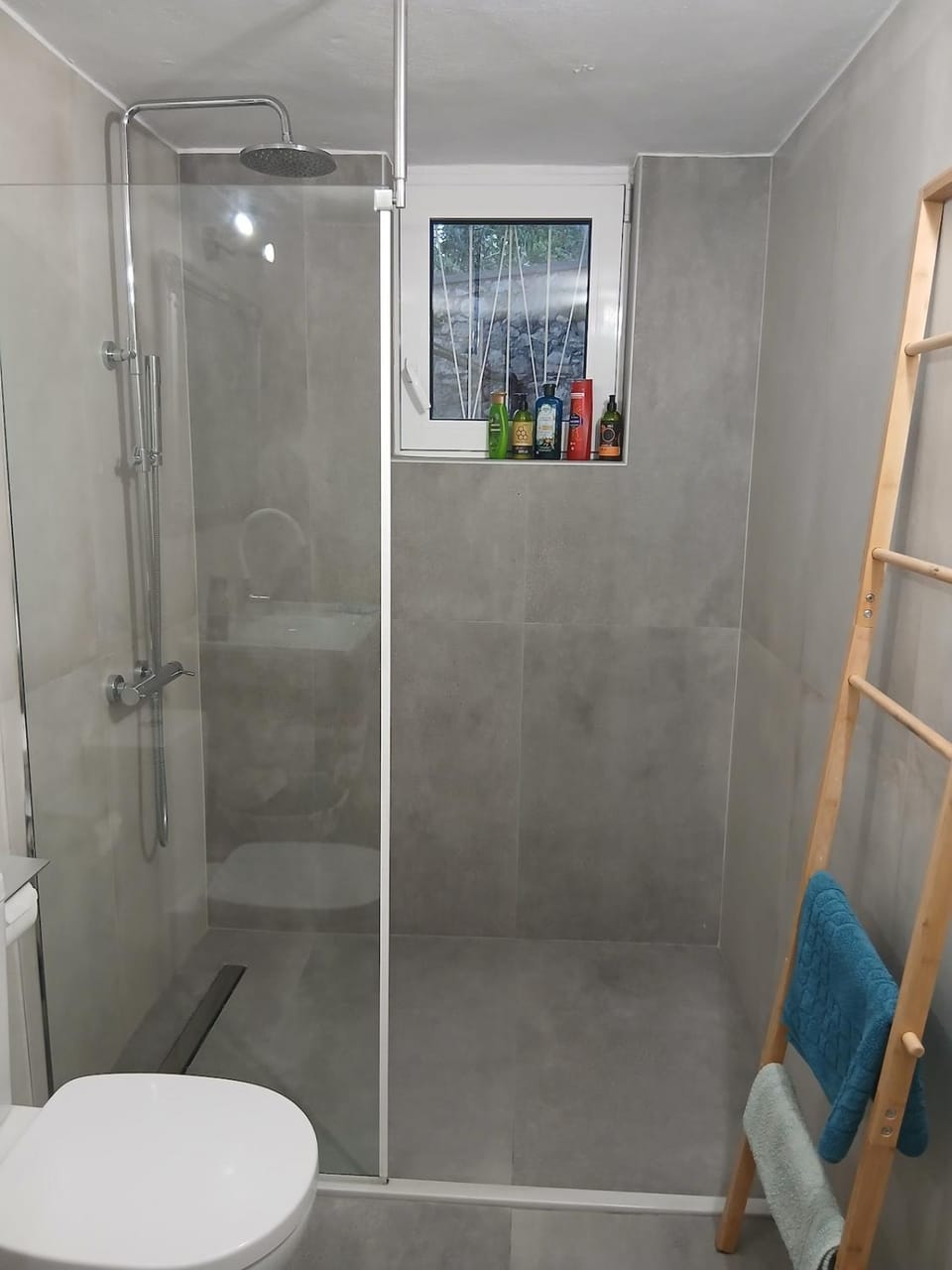 Shower, Toilet