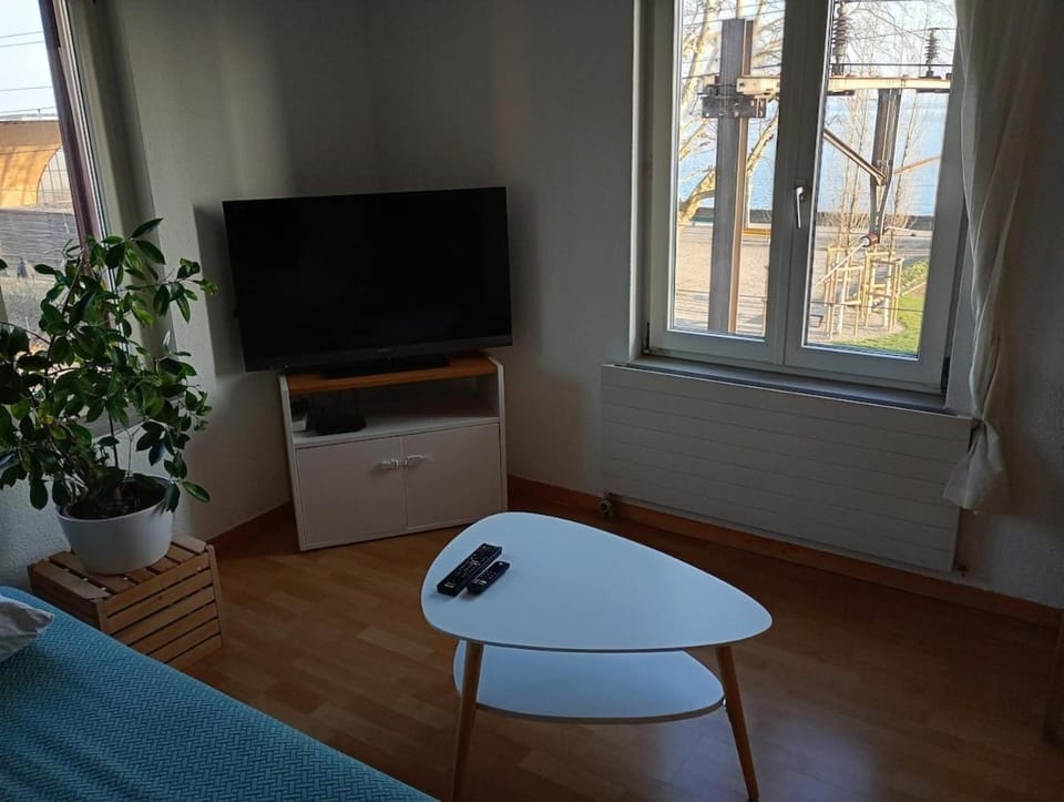 Erste Linie See Wohnung Apartment in St. Gallen, Switzerland