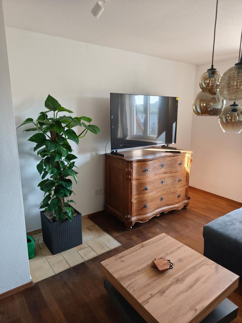 TV and multimedia, Living room