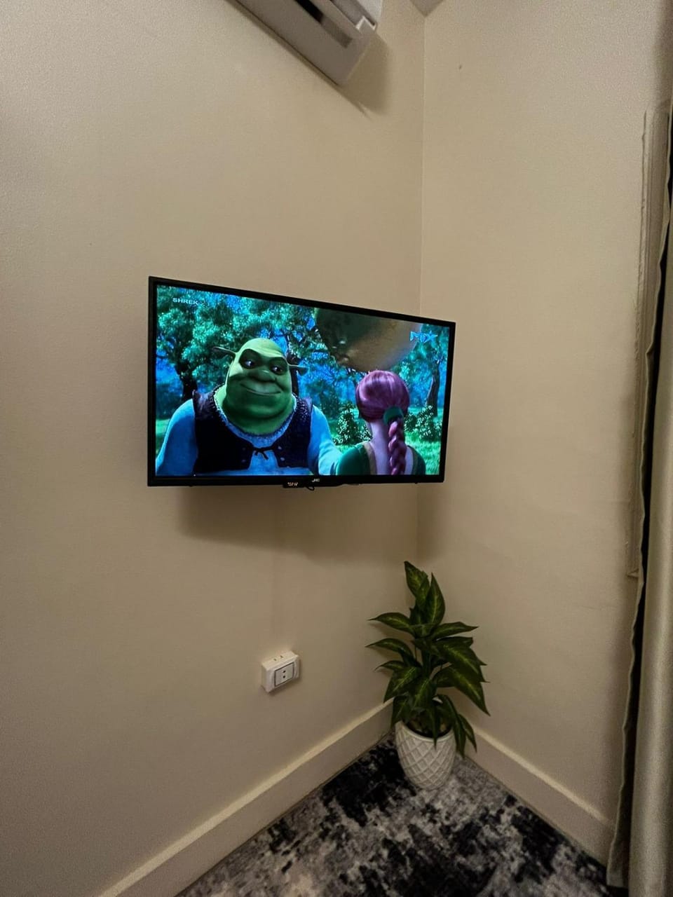 TV and multimedia