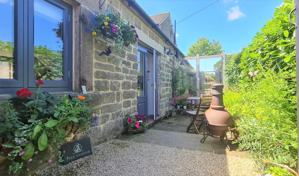 Patio, Garden