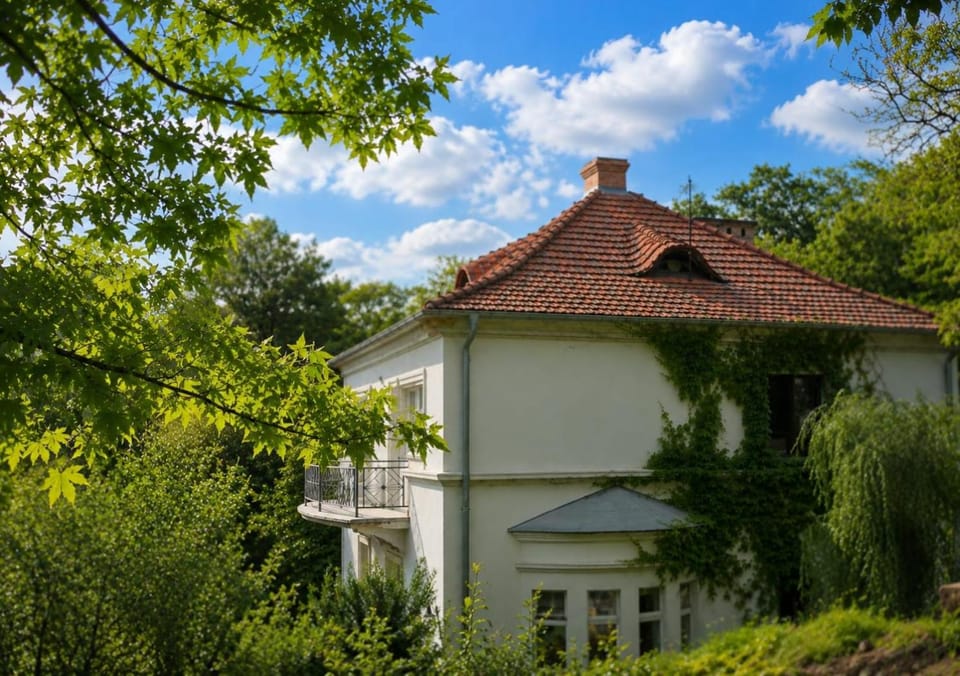 Property building, Spring, Day, Garden, Garden, Garden view