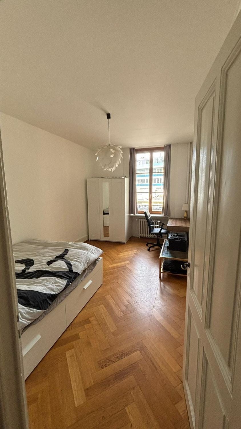 Watch and wonders Geneva Apartment in Geneva