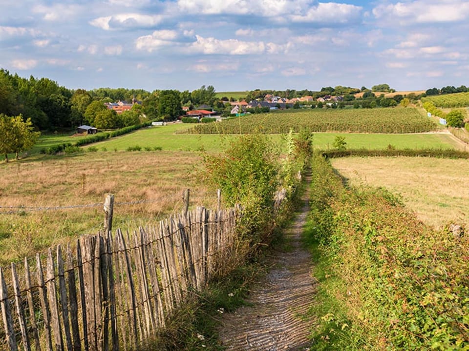 Neighbourhood