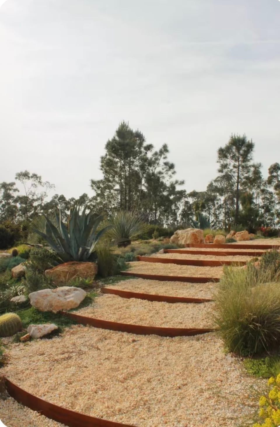 Natural landscape, Garden, Garden view