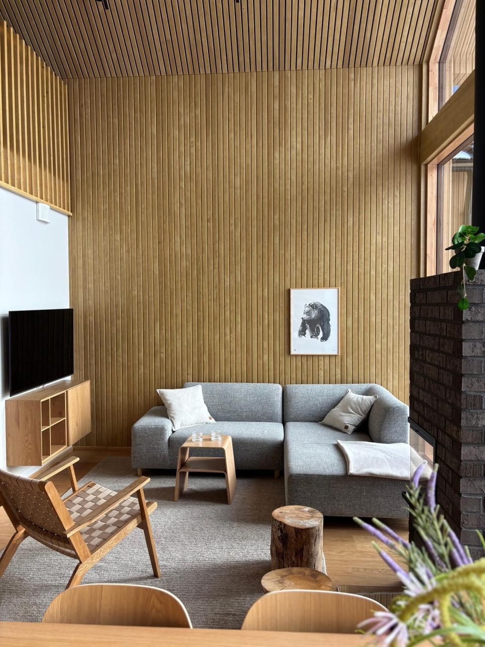 TV and multimedia, Living room, Seating area, fireplace