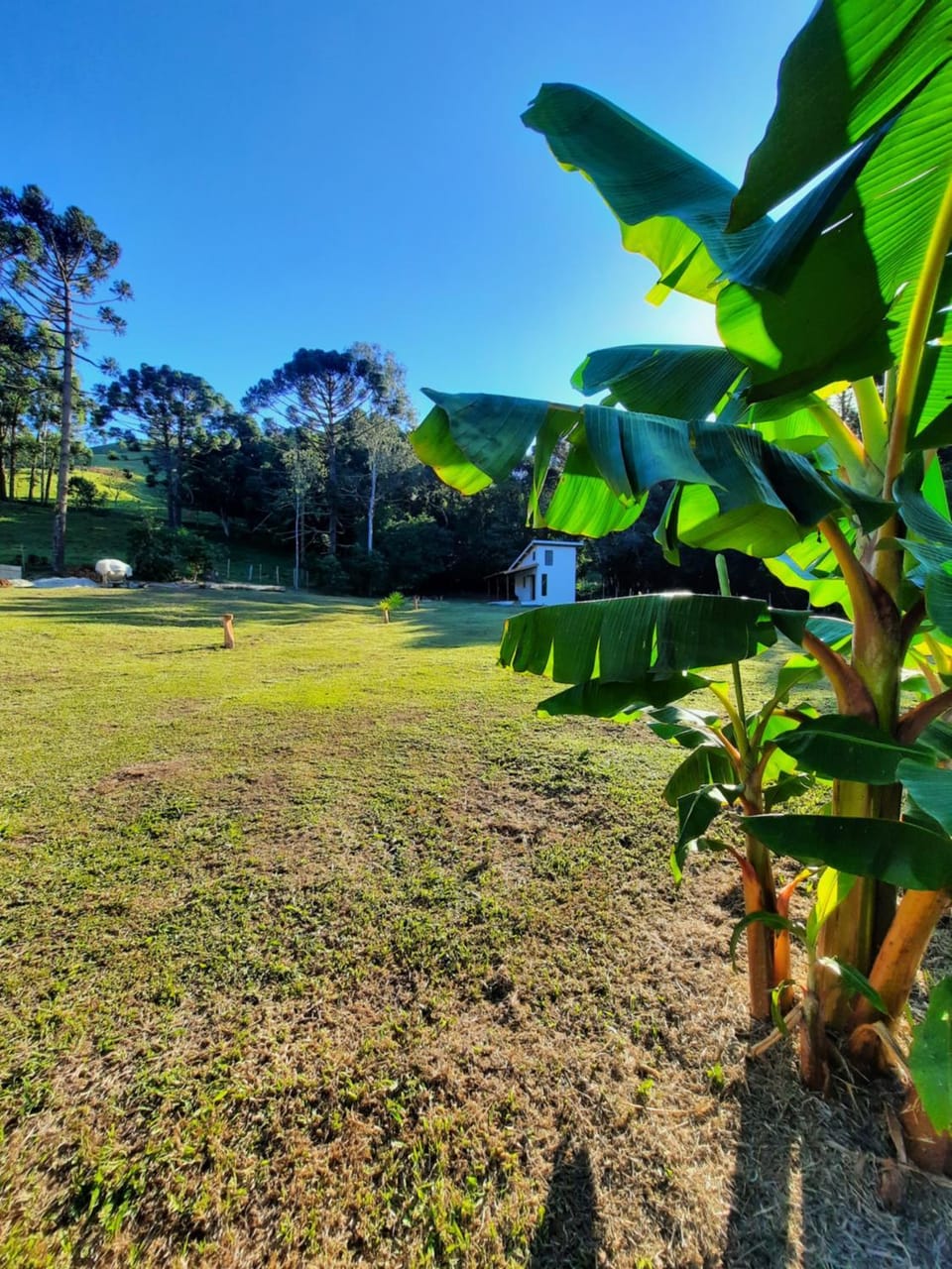 Chalé recanto das Seriemas Nature lodge in Cunha