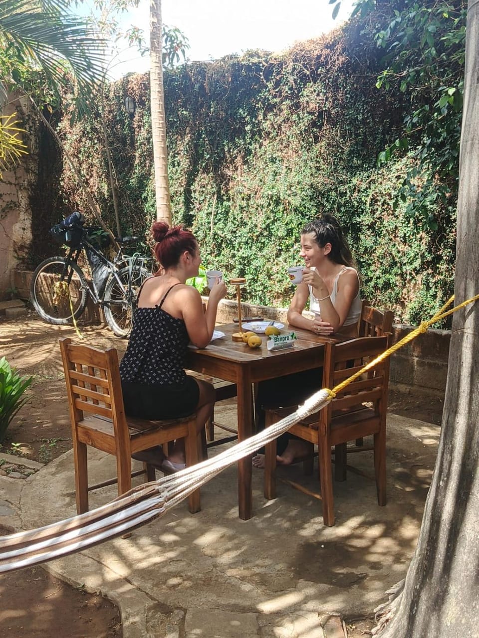 Patio, Dining area