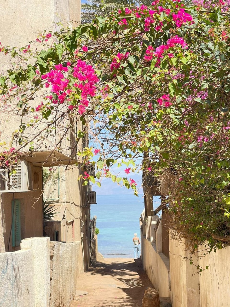 Alamir House Apartment in South Sinai Governorate
