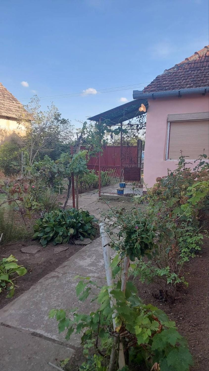 Seosko turističko domaćinstvo Jančić Country House in Szeged