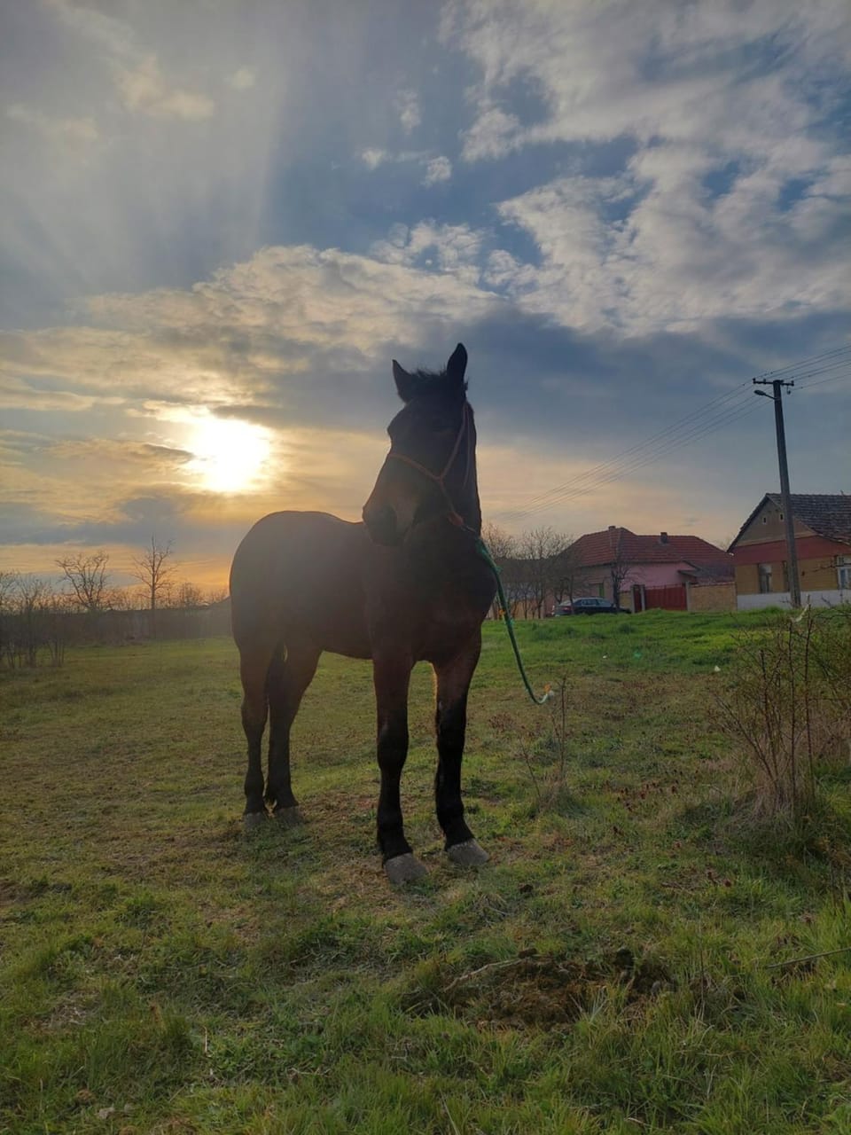 Seosko turističko domaćinstvo Jančić Country House in Szeged