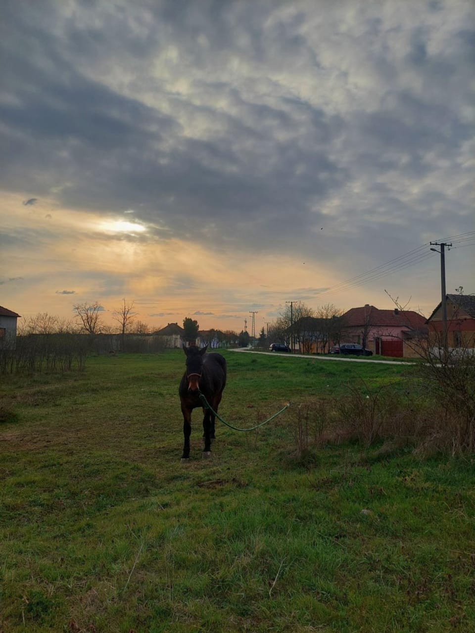 Seosko turističko domaćinstvo Jančić Country House in Szeged