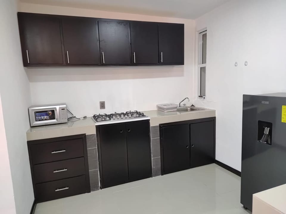 Hospedaje La Patrona Apartment in Chignahuapan