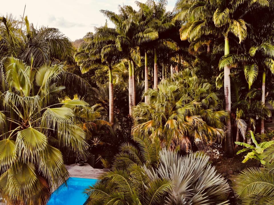 Pool view, Sea view