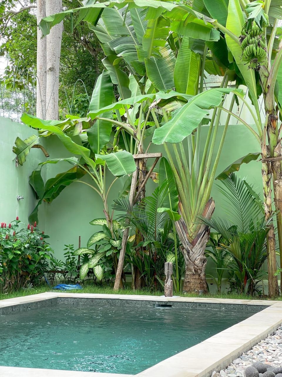 Garden, Swimming pool