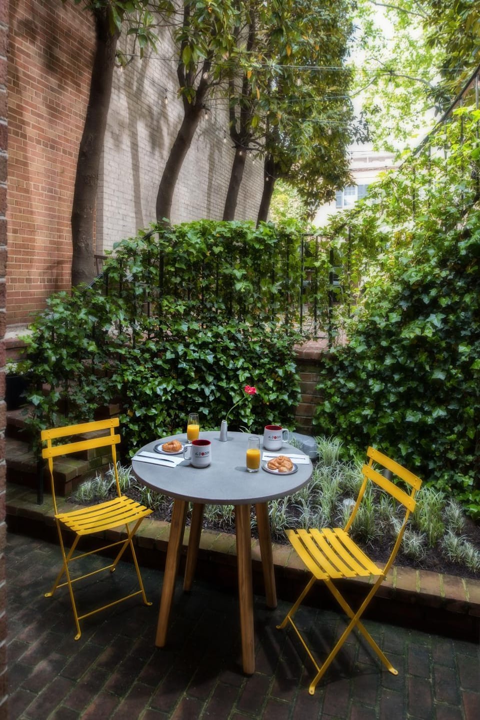 Patio, Spring, Day, Garden, Garden view, Breakfast