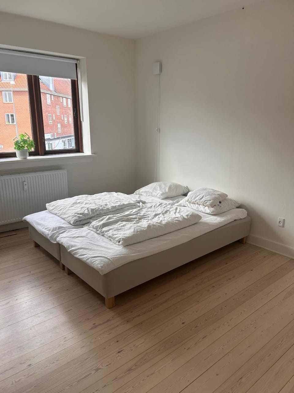 Spacious and renovated flat Apartment in Region of Southern Denmark